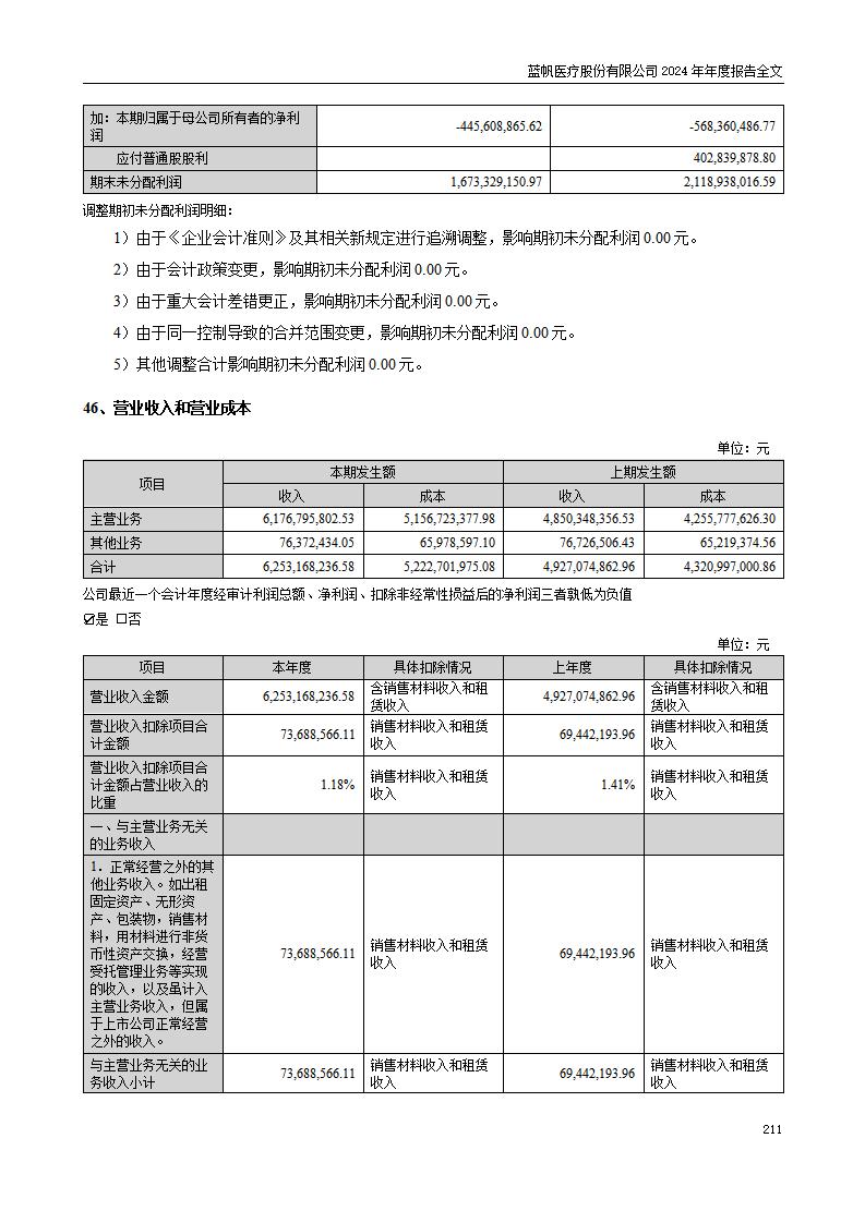13-2024年年度报告_211
