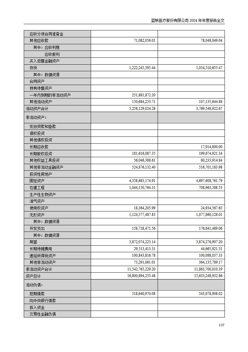 13-2024年年度报告_137