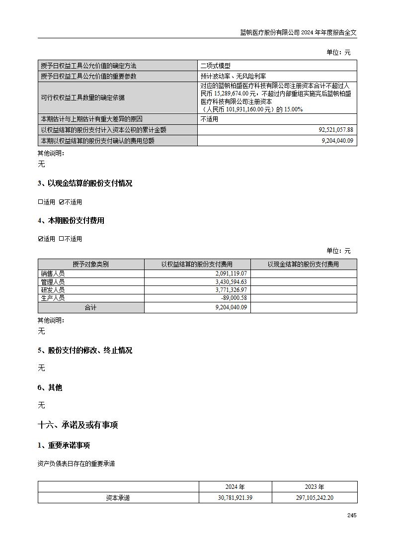 13-2024年年度报告_245