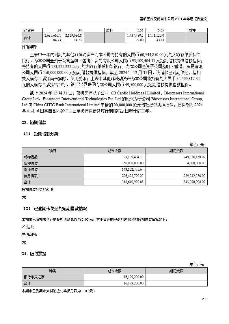 13-2024年年度报告_200