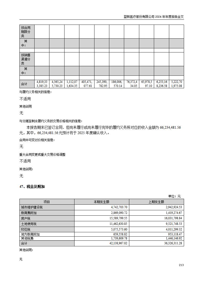 13-2024年年度报告_213